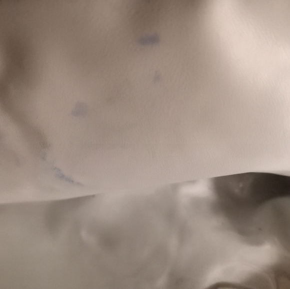 Borghese Bag - Picture 7 of 11